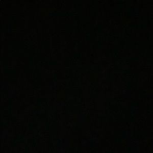 Meet your Posher, Molly